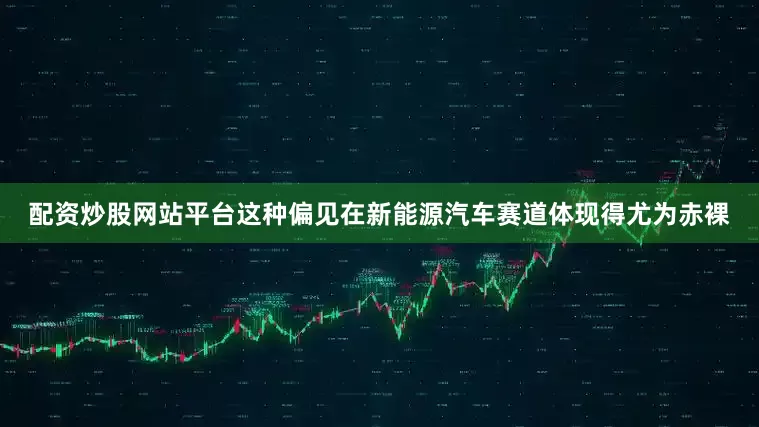 配资炒股网站平台这种偏见在新能源汽车赛道体现得尤为赤裸