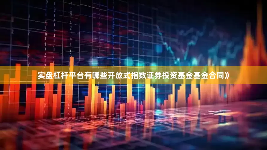 实盘杠杆平台有哪些开放式指数证券投资基金基金合同》