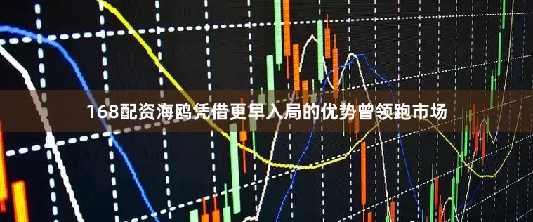 168配资海鸥凭借更早入局的优势曾领跑市场