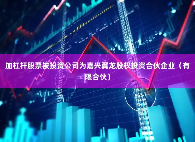 加杠杆股票被投资公司为嘉兴翼龙股权投资合伙企业（有限合伙）