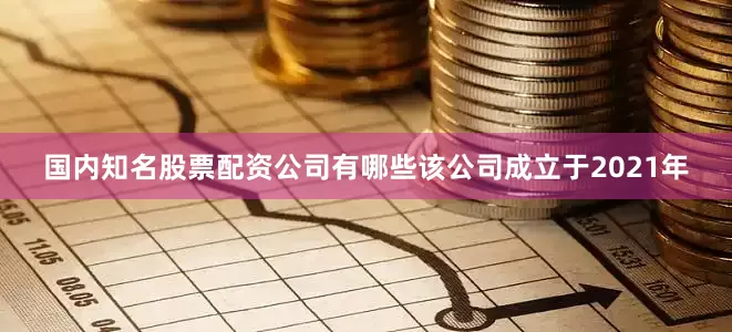国内知名股票配资公司有哪些该公司成立于2021年