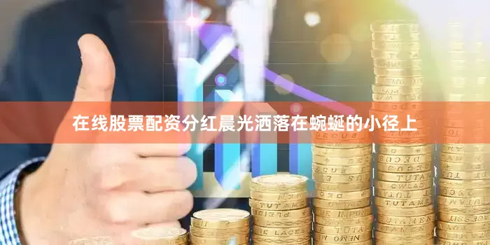 在线股票配资分红晨光洒落在蜿蜒的小径上