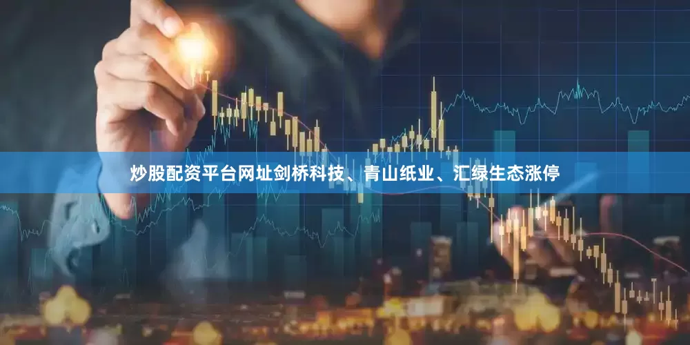 炒股配资平台网址剑桥科技、青山纸业、汇绿生态涨停